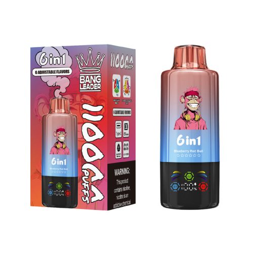 Bang Leader 110000 Puffs 6 Flavors Disposable Vape