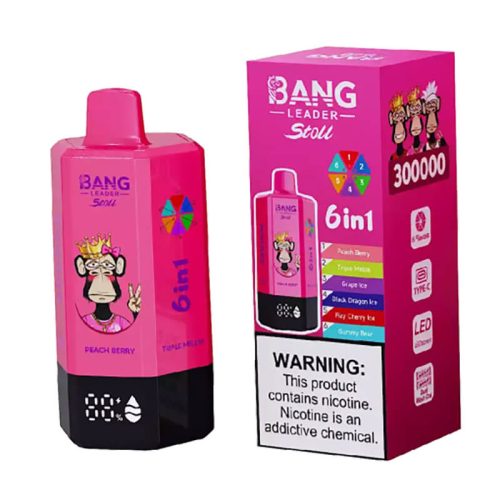 Bang Leader Stoll 300000 Puffs 6 Flavors Disposabl