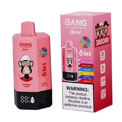Bang Leader Stoll 300000 Puffs 6 Flavors Disposabl