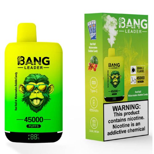 Bang Leader 45000 Puffs Dual Flavors Disposable Va