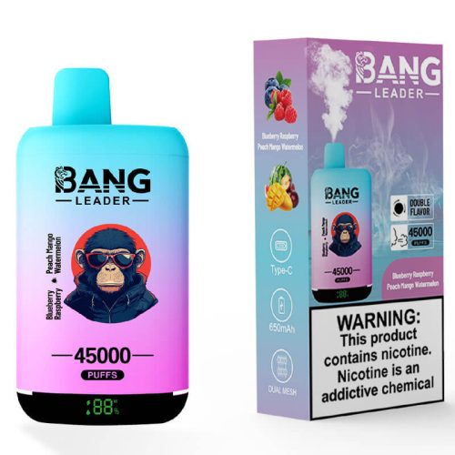 Bang Leader 45000 Puffs Dual Flavors Disposable Va