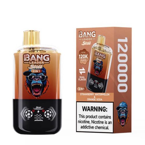 Bang Leader Stoll 120000 Puffs Dual Flavors Dispos